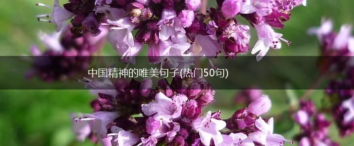 中国精神的唯美句子(热门50句),第1张