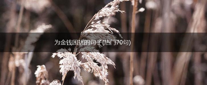 为金钱困扰的句子(热门70句),第1张