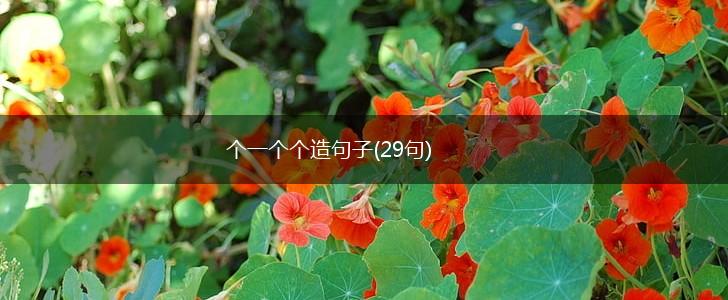 个一个个造句子(29句),第1张