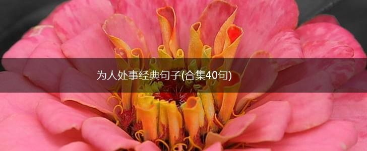 为人处事经典句子(合集40句),第1张