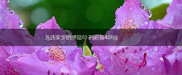 久违家乡的感觉句子(必备40句),第1张