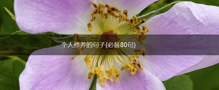 个人修养的句子(必备80句),第1张