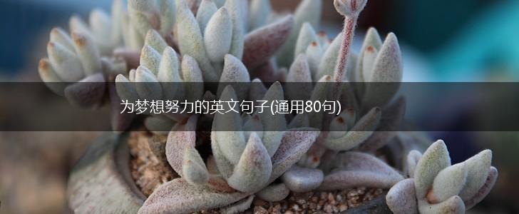 为梦想努力的英文句子(通用80句),第1张