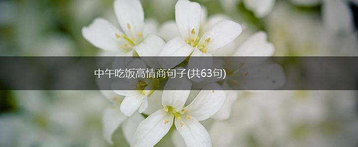 中午吃饭高情商句子(共63句),第1张
