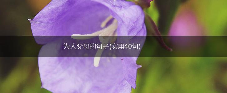 为人父母的句子(实用40句),第1张