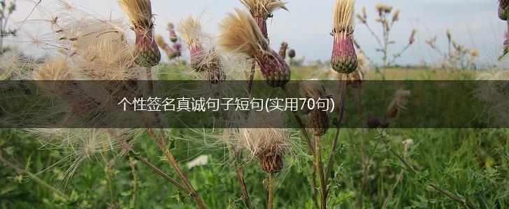 个性签名真诚句子短句(实用70句),第1张