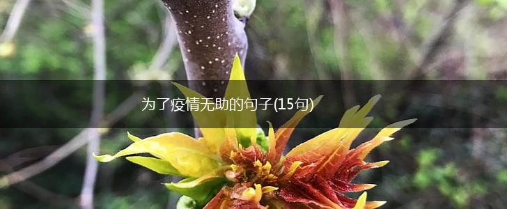 为了疫情无助的句子(15句),第1张