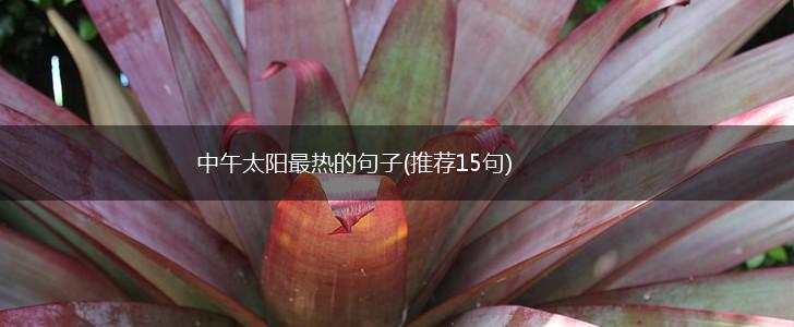 中午太阳最热的句子(推荐15句),第1张