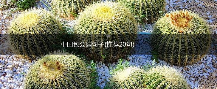 中国包公园句子(推荐20句),第1张