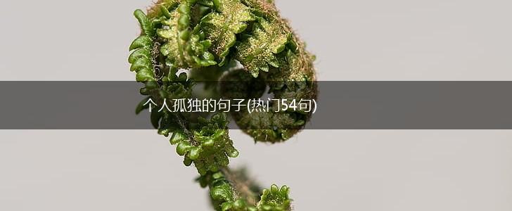 个人孤独的句子(热门54句),第1张