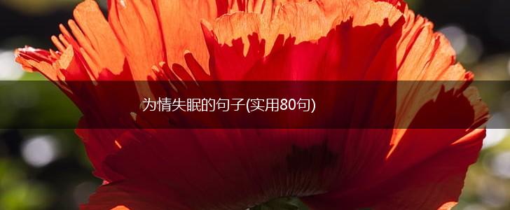 为情失眠的句子(实用80句),第1张
