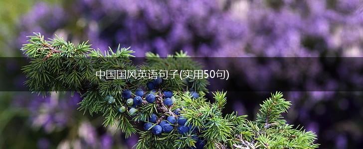 中国国风英语句子(实用50句),第1张