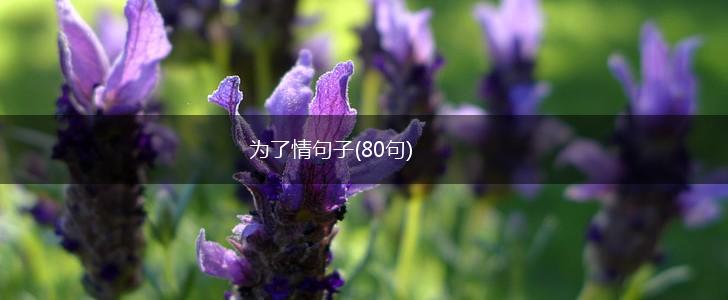 为了情句子(80句),第1张