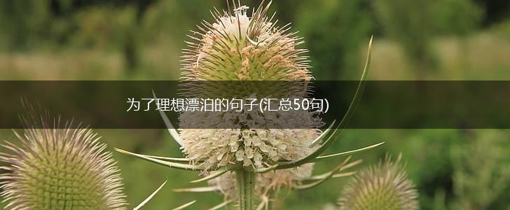 为了理想漂泊的句子(汇总50句),第1张