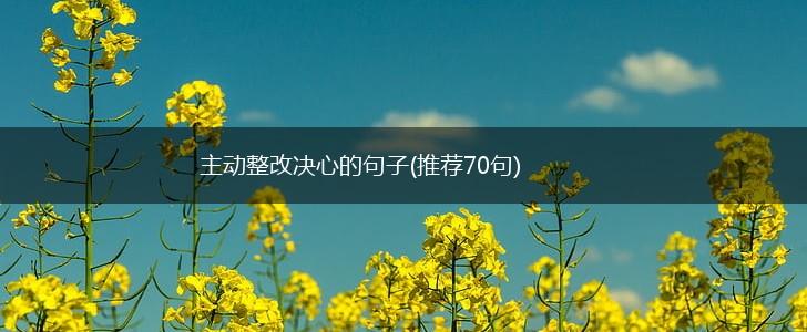 主动整改决心的句子(推荐70句),第1张