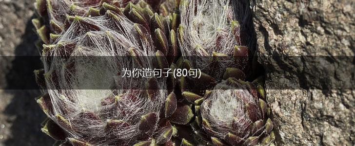 为你造句子(80句),第1张