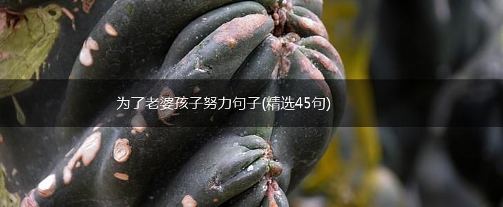 为了老婆孩子努力句子(精选45句),第1张