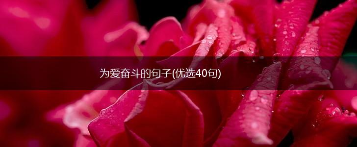 为爱奋斗的句子(优选40句),第1张