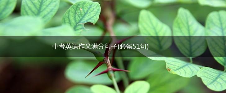 中考英语作文满分句子(必备51句),第1张