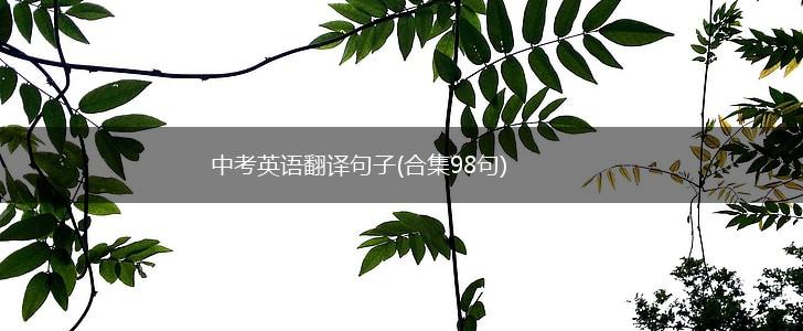 中考英语翻译句子(合集98句),第1张