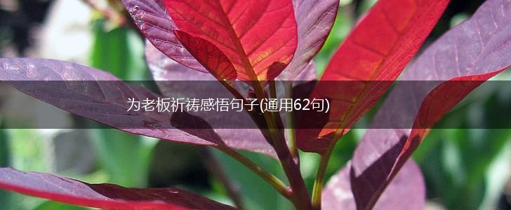 为老板祈祷感悟句子(通用62句),第1张