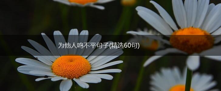 为他人鸣不平句子(精选60句),第1张