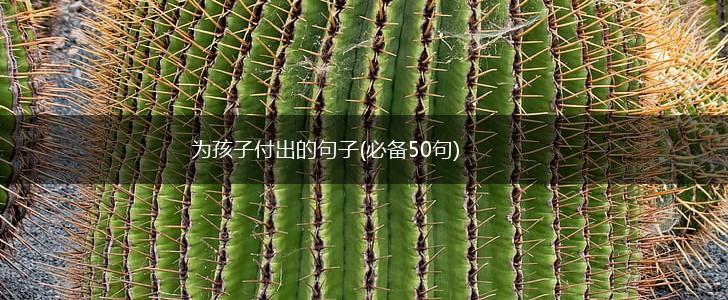 为孩子付出的句子(必备50句),第1张