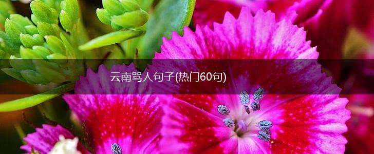 云南骂人句子(热门60句),第1张