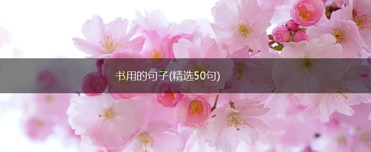 书用的句子(精选50句),第1张