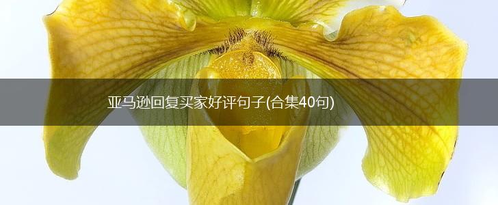 亚马逊回复买家好评句子(合集40句),第1张