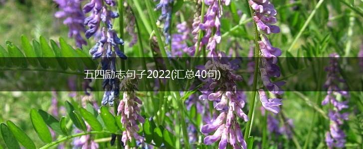 五四励志句子2022(汇总40句),第1张