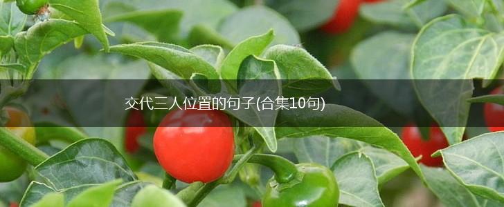 交代三人位置的句子(合集10句),第1张
