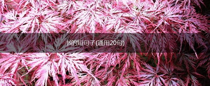 书的短句子(通用20句),第1张