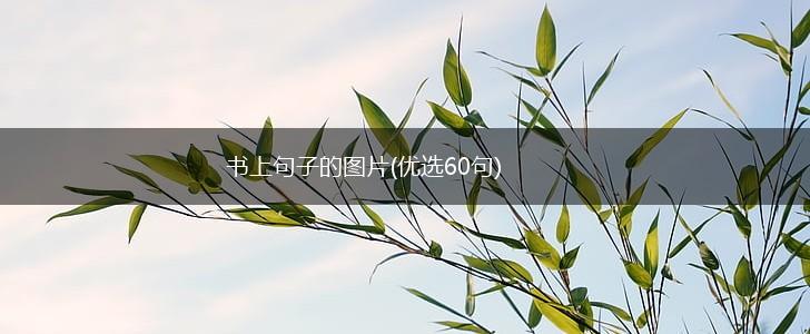 书上句子的图片(优选60句),第1张
