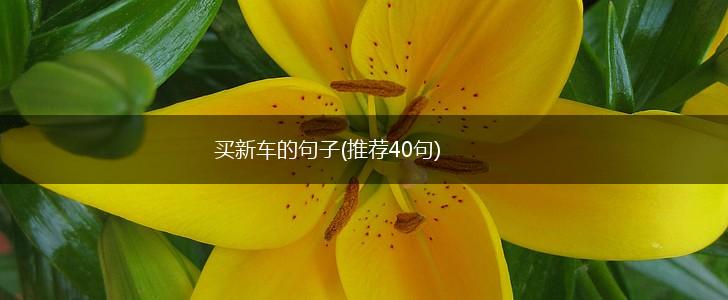 买新车的句子(推荐40句),第1张