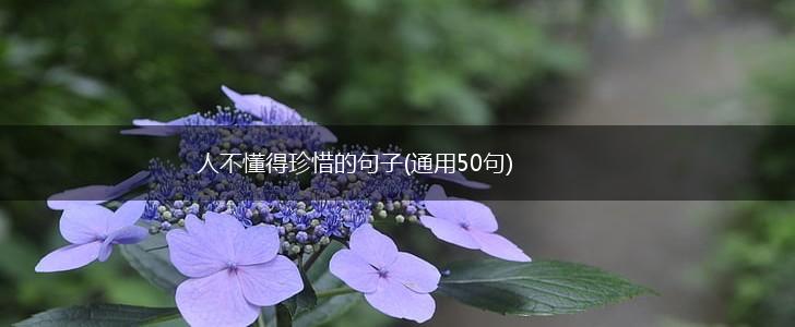 人不懂得珍惜的句子(通用50句),第1张