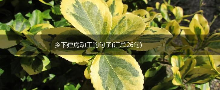 乡下建房动工的句子(汇总26句),第1张