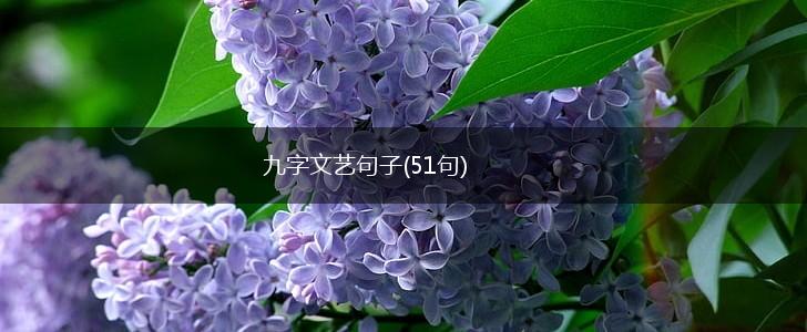 九字文艺句子(51句),第1张