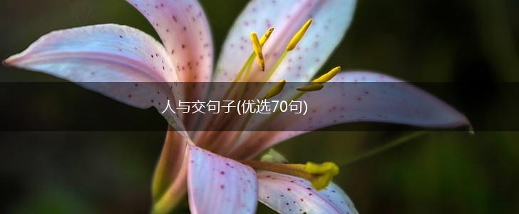 人与交句子(优选70句),第1张