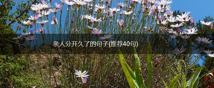 亲人分开久了的句子(推荐40句),第1张