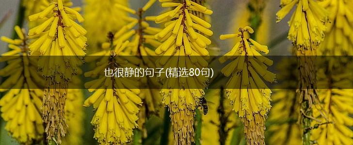 也很静的句子(精选80句),第1张
