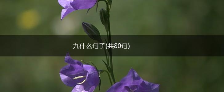九什么句子(共80句),第1张