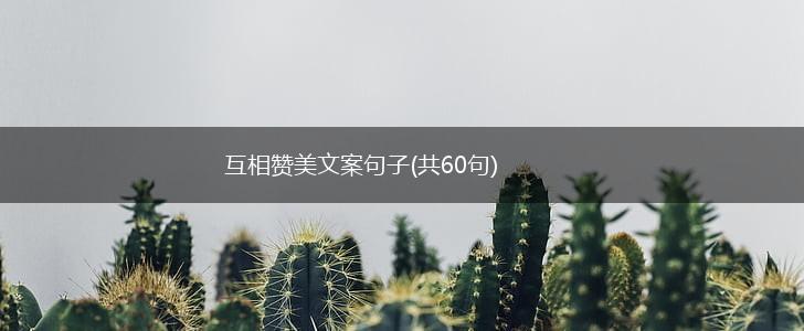 互相赞美文案句子(共60句),第1张