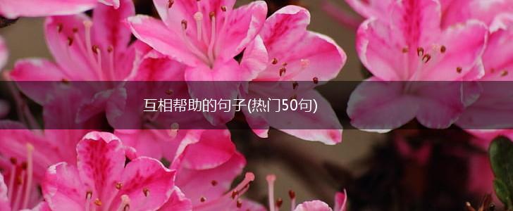 互相帮助的句子(热门50句),第1张