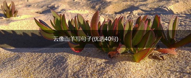 云像山羊写句子(优选40句),第1张