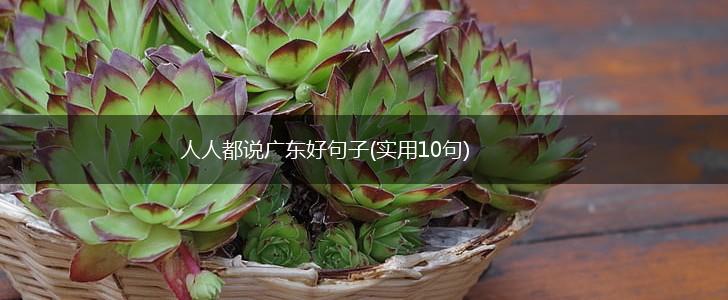 人人都说广东好句子(实用10句),第1张
