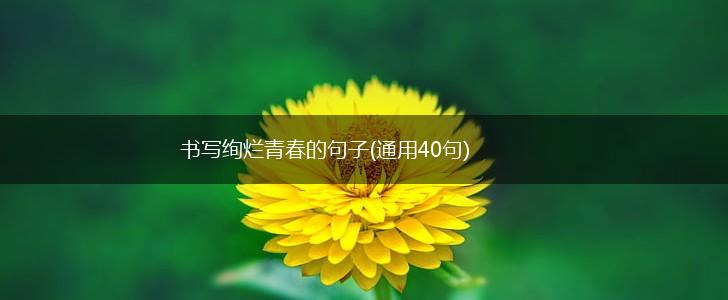 书写绚烂青春的句子(通用40句),第1张