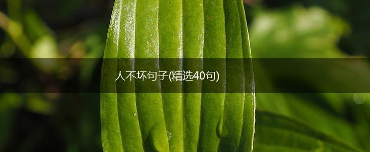 人不坏句子(精选40句),第1张