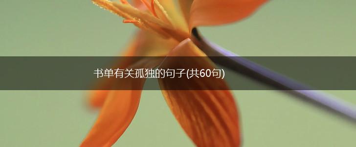 书单有关孤独的句子(共60句),第1张