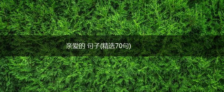 亲爱的 句子(精选70句),第1张